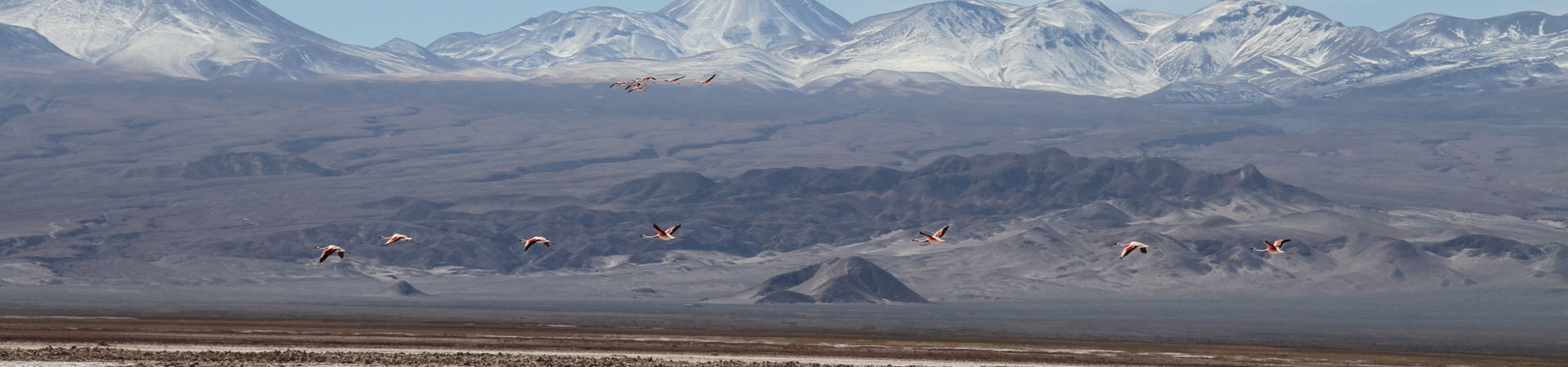 HYDROGEOLOGICAL MANAGEMENT