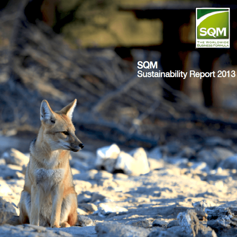 Sustainability Report 2013 Is